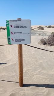 GC-Playa del Ingles 2026-092.jpg